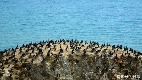  牛气|我国最“牛气”的湖泊，别的湖水都是越来越少，它却一跃成为第一