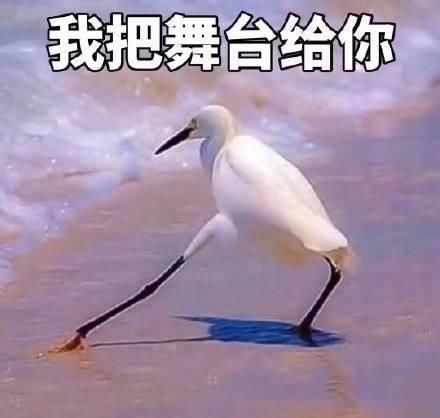  [洗澡]洗澡洗不对，可能会伤害孩子！这5大误区，家长一定要避开！