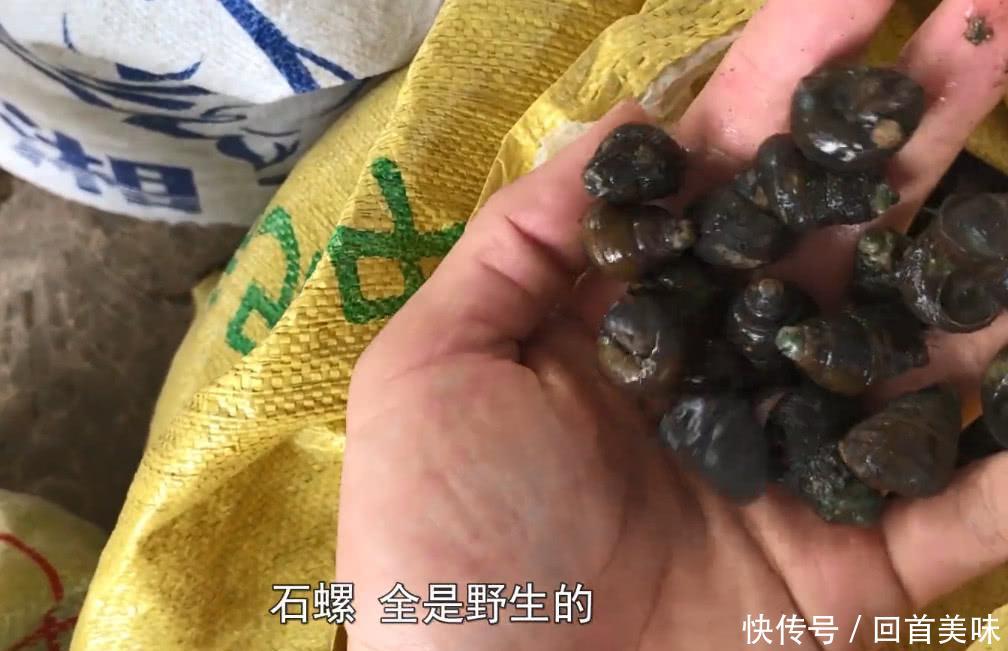 农村大叔卖这种野货，两天就挣了2000多块钱，这宝贝你吃过没