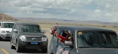 进藏必须要高端越野？除了这些车，还有一款车被称为“进藏神器”