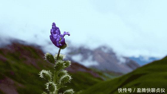 这部纪录片央视发力了,每一帧都可以当壁纸,BBC也无法超越