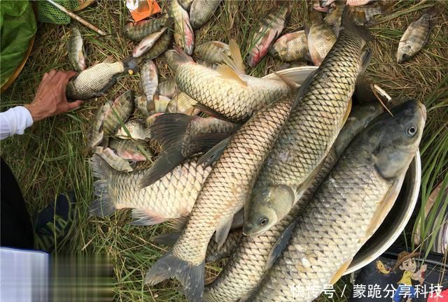 【种调漂方法】水底不平抛不准的解决方案,有效解决调漂观漂问题
