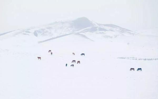 雪里山河，水墨中国