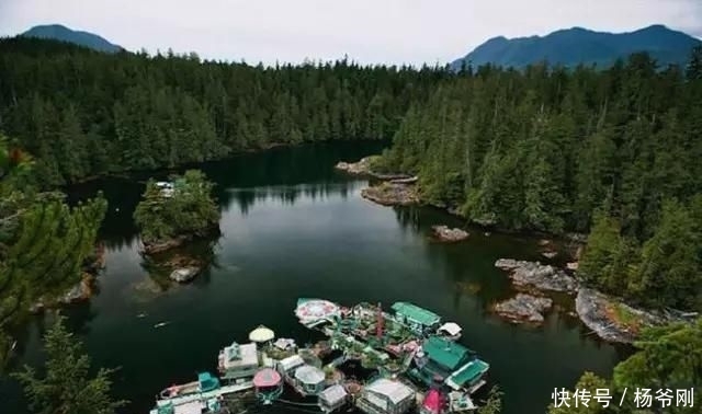  蔬菜：下半生，和爱的人一起养花种菜可好