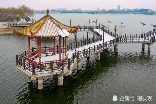  「染白」二十只白鹤“赖”着上百天不走，粪便把青瓦染白，当地人大开眼界