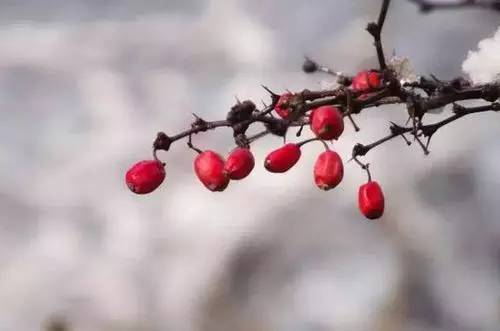 省内大部迎降水，冷空气今明两天说来就来！