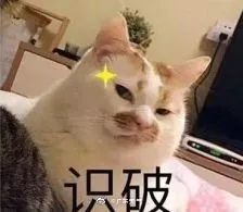 停不下来！8号台风范斯高突然生成！“韦帕”却赖着不想走