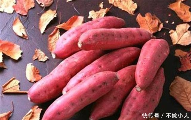  #红薯#红薯的产量太低，注意这几点，每棵都能结满