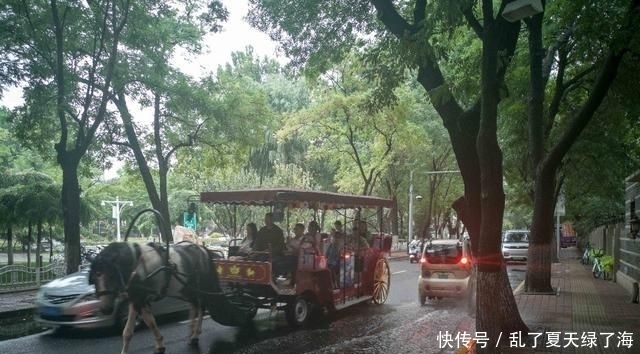 天津若成“网红城市”:海河可能会最先爆红,游客都会去劝业场