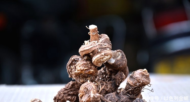  利润|价格高达上千元，每亩利润10到20万，农民表示不敢再种植，