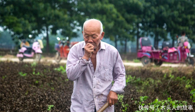  [养老金]农民一生都在干活，为啥60岁后没有退休金？看专家怎么