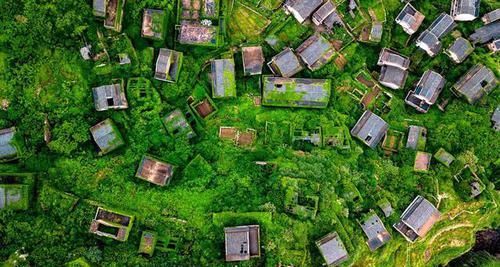 这才是人类消失后的真实世界,和你在电影里看到的完全不一样!