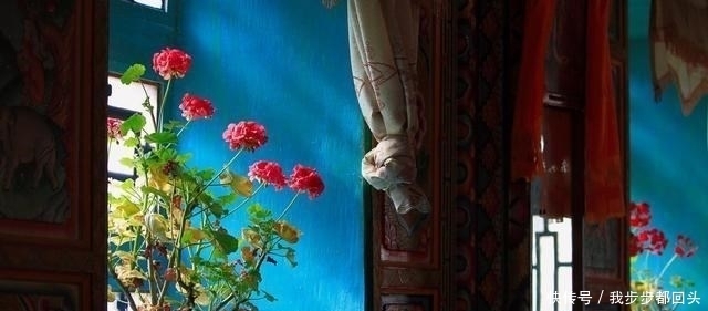 高大的花|卧室不要养5种花,虽然好看,但并不适合