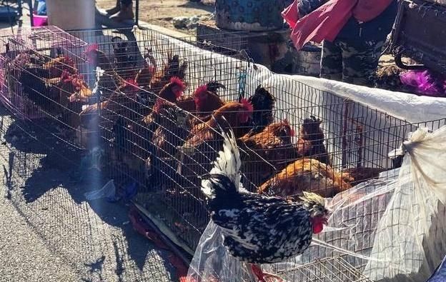  「商贩」一位年赚30万的农村赶集商贩，总结的五条生意门道，句