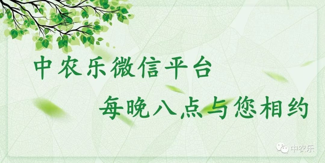 【政策】2019年农村六大重点补贴，快来看看你可以领吗？