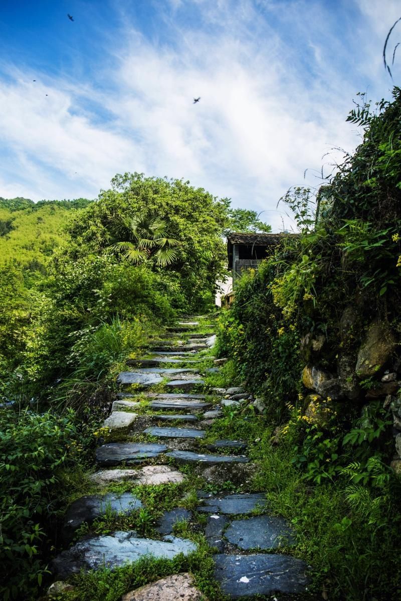 600多年的明朝古村落无人问津，是山高林深还是我们忘本