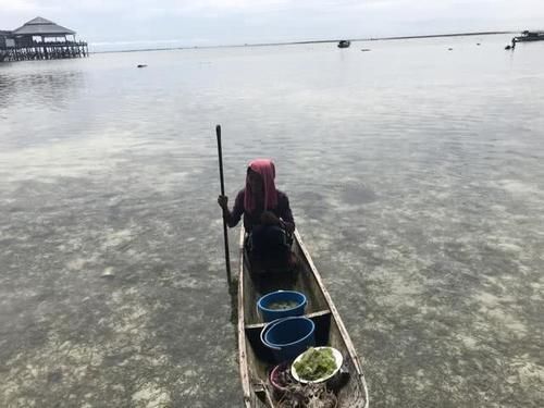 全球最神秘的民族，地球上最后的海洋游牧民族，世代生活在海中