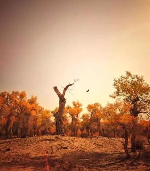  「腹地」中国最美的五大沙漠，塔克拉玛干沙漠腹地