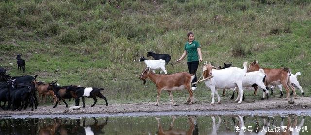 她身价百万，却返乡独住无人山坡，两年后乡亲刮目相看