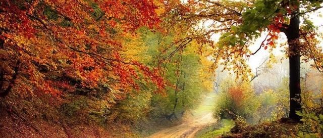 实用摄影知识，这些摄影口诀总有你要的