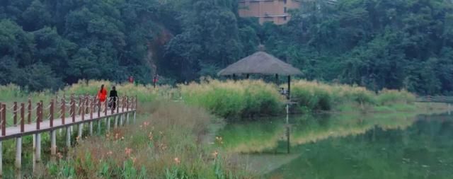 隐藏在清远佛冈的温泉小镇，广州极少人知道，来过的都还想再来