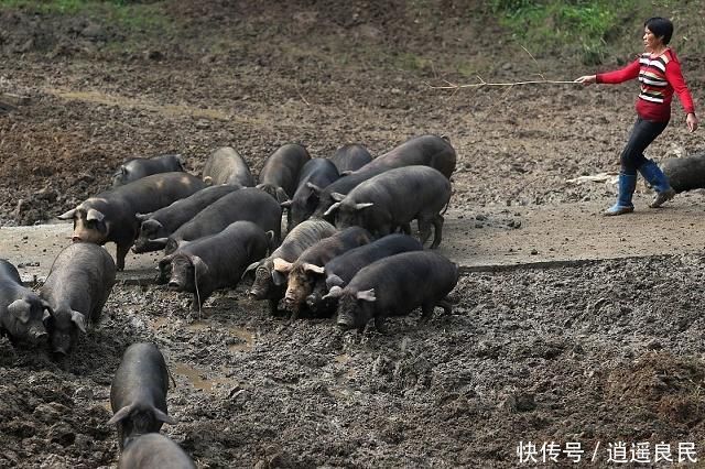  在外■在外打工不容易，这3种工作再挣钱别做，有3种行业很适合