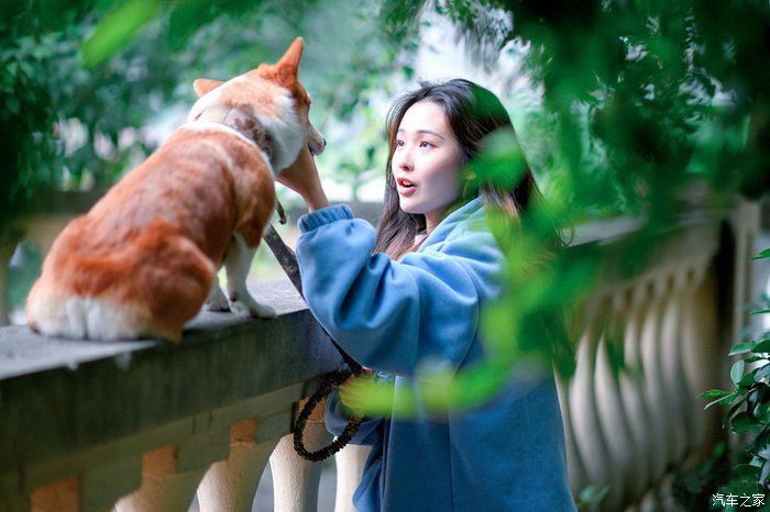 「Pro」开着宋Pro与老婆去遛狗,春暖花开,美好生活在身旁