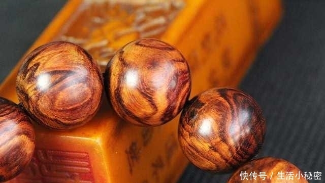  中国|中国最“珍贵”的树，以前被当柴火烧，如今1公斤卖9000元