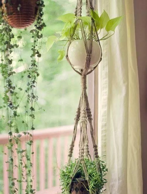  「空间」植物还种在地上？隔壁邻居把植物挂在了墙上，美翻了