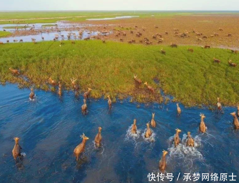 第一个破产的5A景区,负债几亿还不起,游客不宰客就开不下去