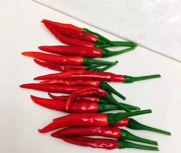  「够吃」阳台就是大菜园，这6种蔬菜都能种，一年不用买菜，全家都够吃