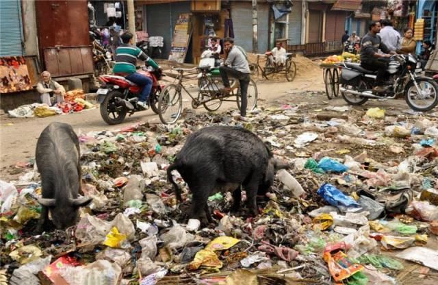印度就是“脏乱差”?这个印度小村的整洁干净,连日本都甘拜下风