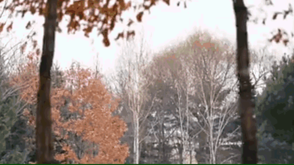  [疫情防控]最美“疫”中人——写在黑龙江人民抗击新冠肺炎疫情之际