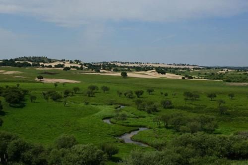  「树木」如果把塔克拉玛干沙漠改造成森林，会有什么影响呢？答