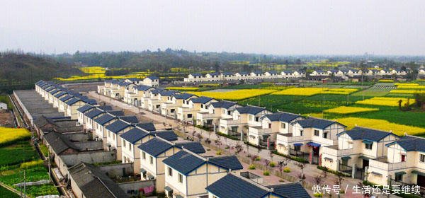 新农村要建小高层，农户表示家里的猪马牛羊都要卖掉了