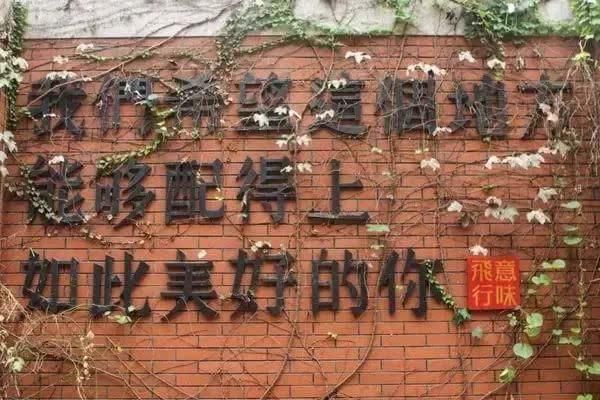 #时间#自从迷上养花，我成了一个捡垃圾的...