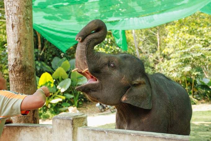 【女神级游记】与我的小甜心在苏梅岛,享受阳光、海滩