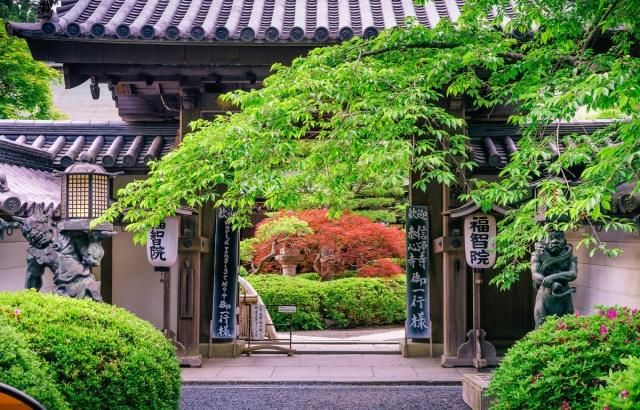 等有钱了，就造一个日式庭院，静谧悠然禅意十足，每天喝茶赏花