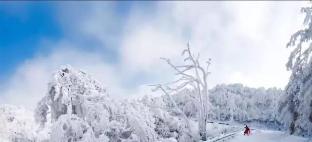 汉中汉江源雪景惹人醉，冬季赏雪不思归