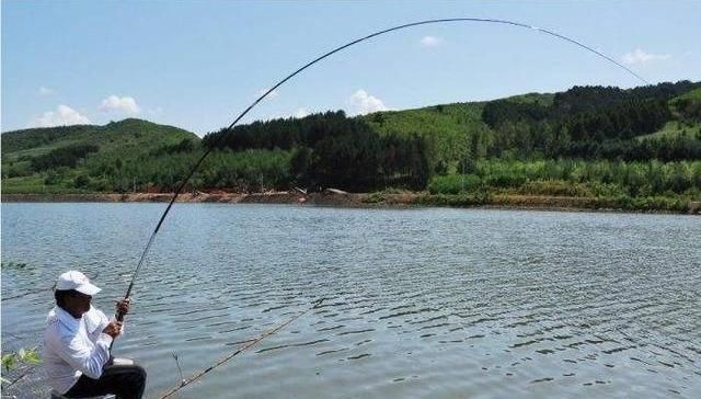 别怕夏季钓鱼不知道钓深还是钓浅，明白这两点后就能很好的判断！