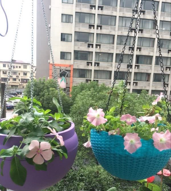  #瞬间#绿植花草这样摆放，阳台瞬间变花园，不仅干净整洁，空间还扩大了