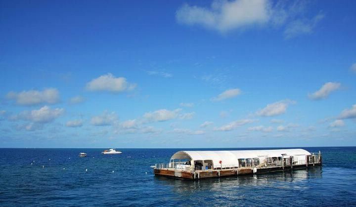 搭游轮坠海亡! 同船游客无奈伴尸3天, 好好的旅行变惨剧