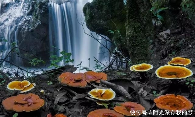 丽水有个隐藏在大山深处的世外桃源，带家人去走走吧