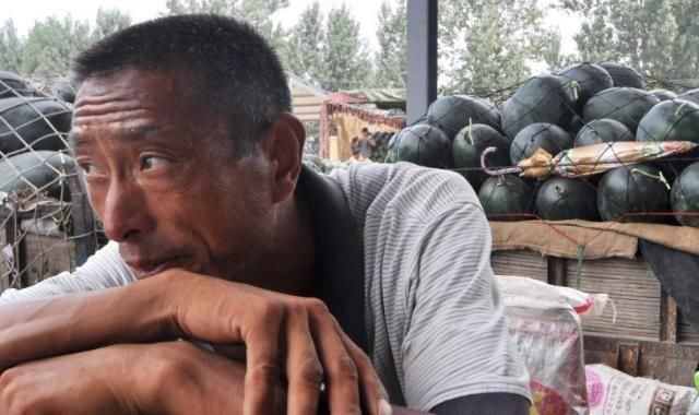 西瓜“成灾”2毛一斤收购，顾客却吃不起，问题出在哪？