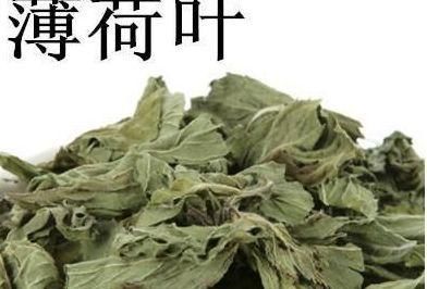  『薄荷』“小薄荷”也有大作用！薄荷的现代药理作用，建议收藏