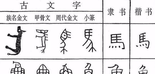 他用甲骨文写高考作文,得6分仍被录取,培养