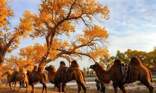 国内最有趣的航线：平飞5分钟，票价5元，有当地人乘飞机去买菜