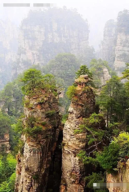 湖南最著名的景区，全是悬崖峭壁，门票235元还人挤人