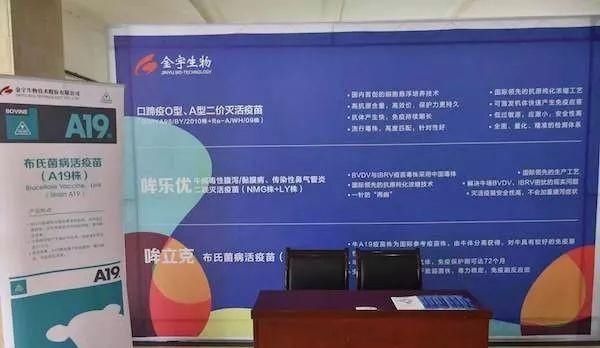  「损害」一起行动起来，别让牛病重蹈像非洲猪瘟损害行业的覆辙