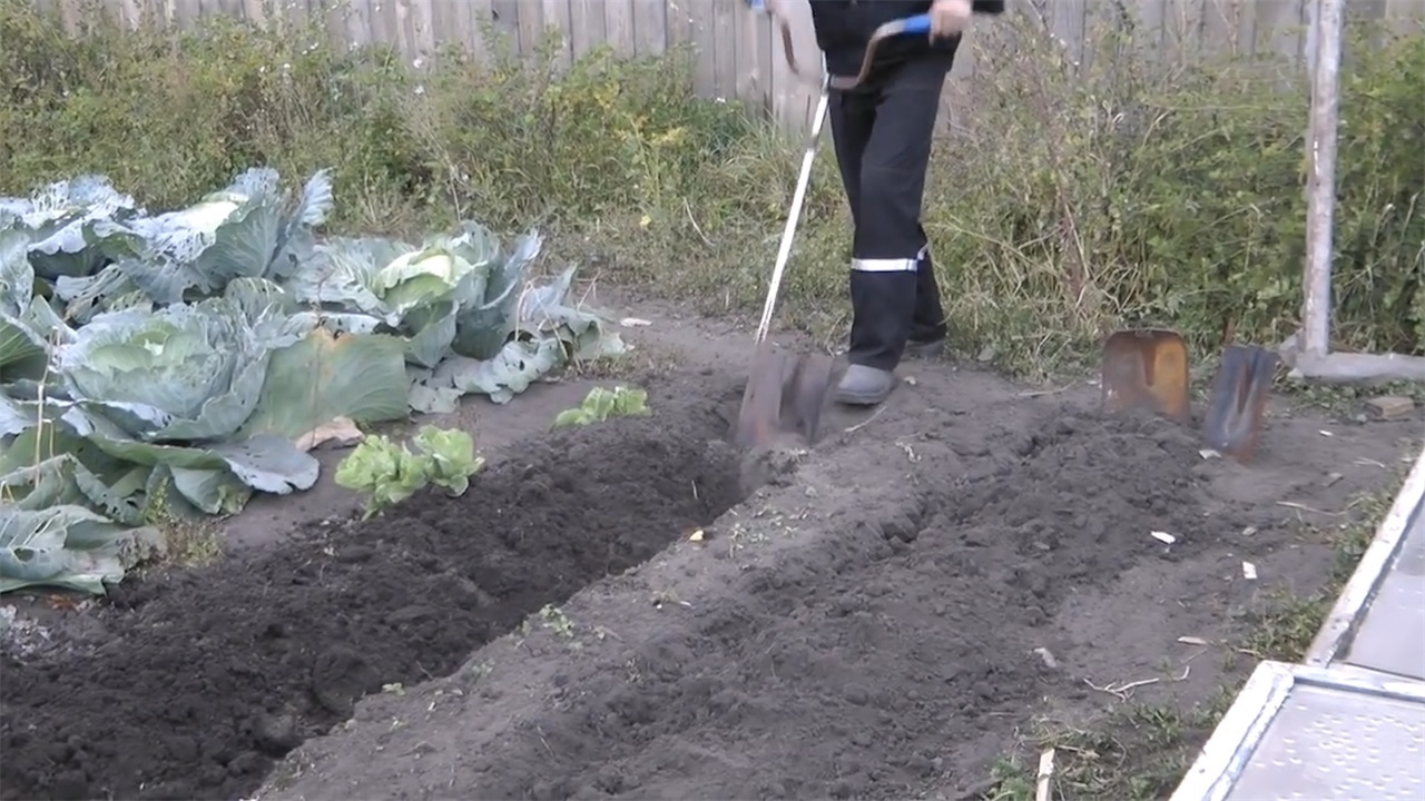  「农村」外国农村老大爷发明新型铁锹，效率提升5倍，10块钱造一